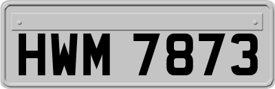 HWM7873