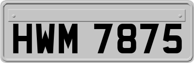 HWM7875