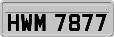 HWM7877
