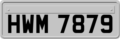 HWM7879
