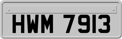 HWM7913
