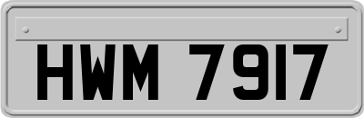 HWM7917