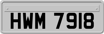 HWM7918