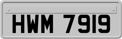 HWM7919
