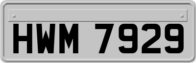 HWM7929