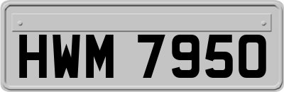 HWM7950