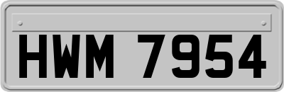 HWM7954