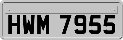 HWM7955
