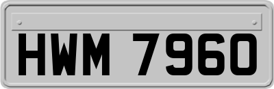 HWM7960