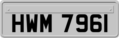HWM7961