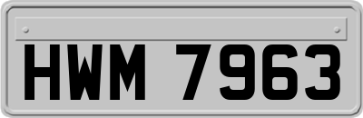 HWM7963