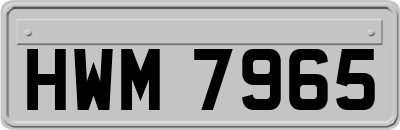 HWM7965
