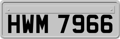 HWM7966