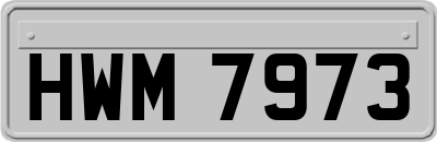 HWM7973