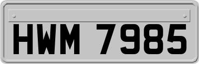 HWM7985