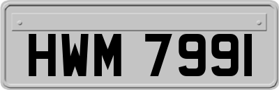 HWM7991