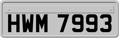 HWM7993