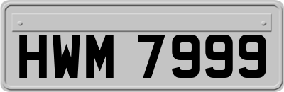 HWM7999