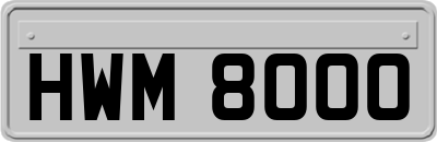 HWM8000