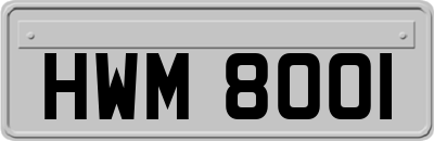 HWM8001