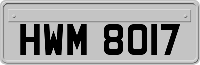 HWM8017