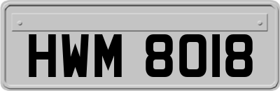 HWM8018