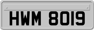 HWM8019
