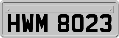 HWM8023