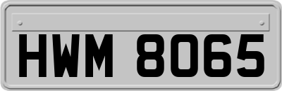 HWM8065