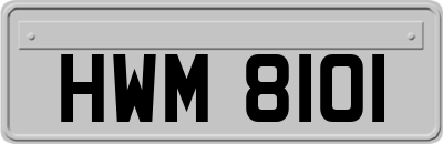 HWM8101