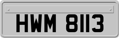 HWM8113