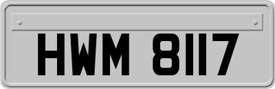 HWM8117