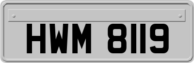 HWM8119
