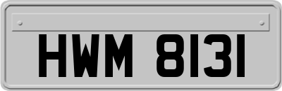 HWM8131