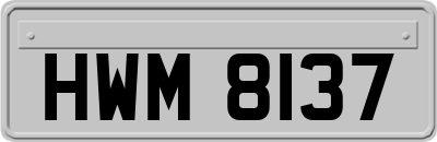HWM8137