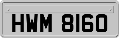 HWM8160