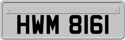 HWM8161