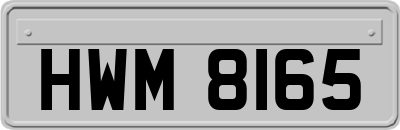 HWM8165