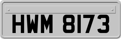HWM8173