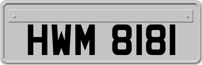 HWM8181
