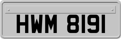 HWM8191