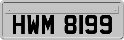 HWM8199