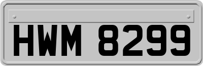 HWM8299