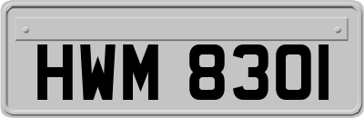 HWM8301