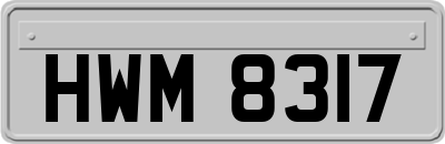 HWM8317