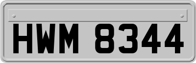 HWM8344