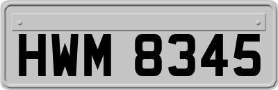 HWM8345
