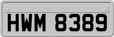HWM8389