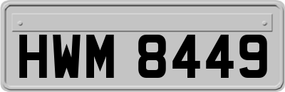 HWM8449