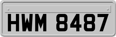 HWM8487